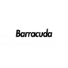 Barracuda