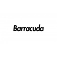 Barracuda